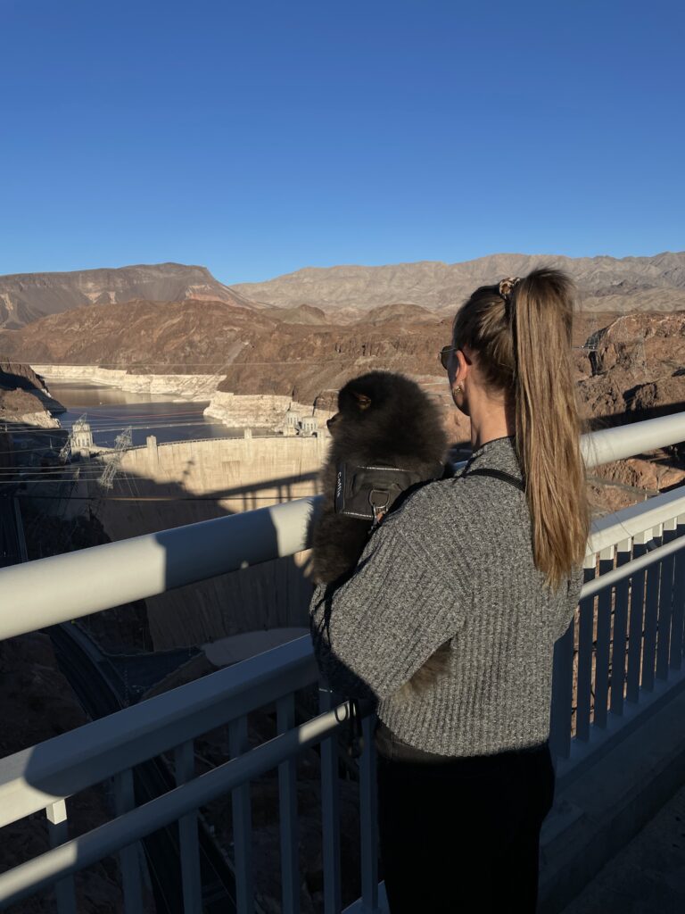 Hoover dam met hondje Coffie