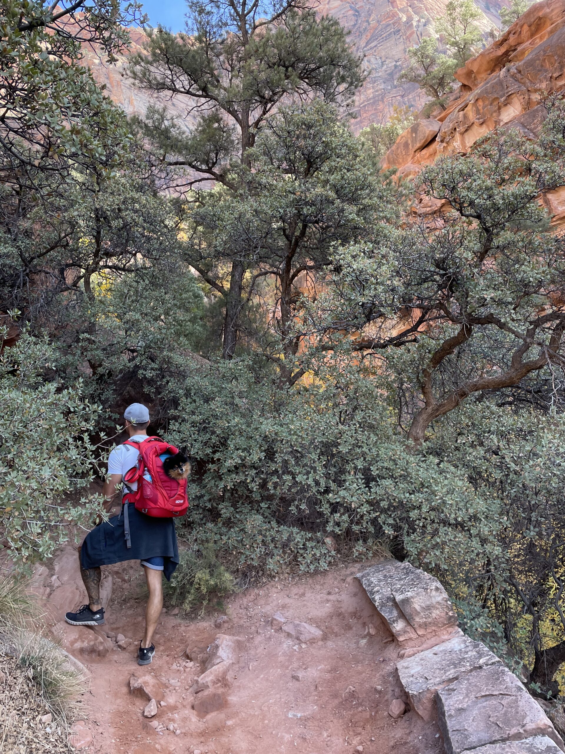 Watchman trail met hond