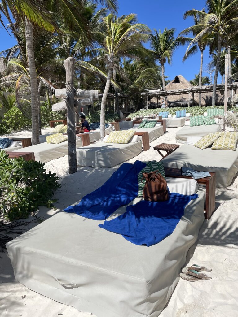 ziggys favoriete beachclub