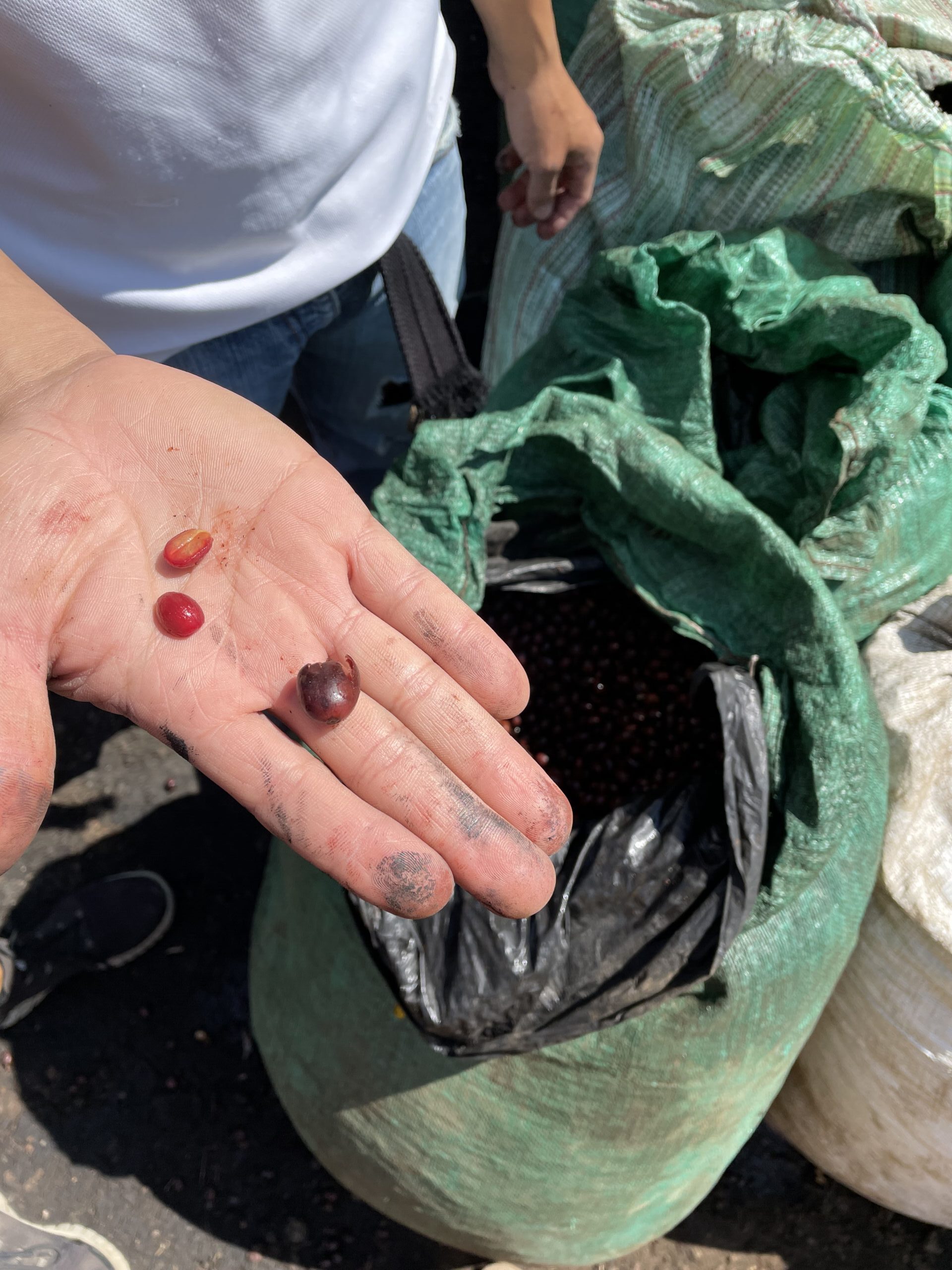 koffietour El Salvador 