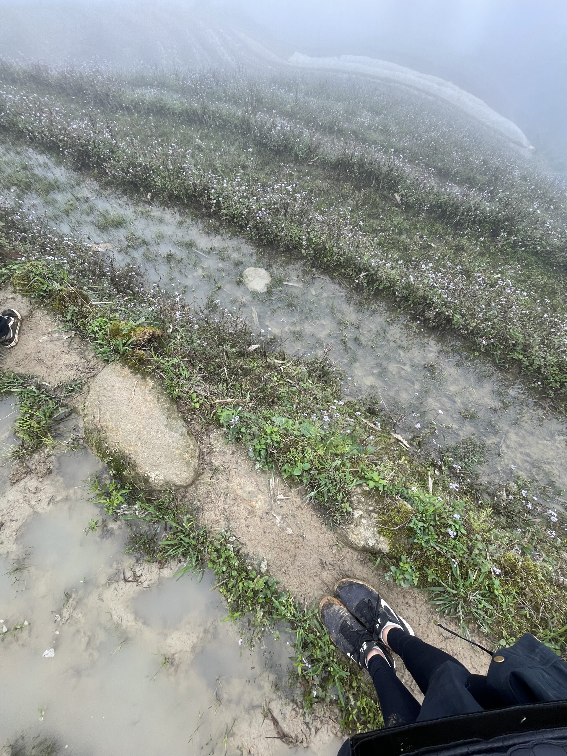 Hiken in sapa door rijstvelden